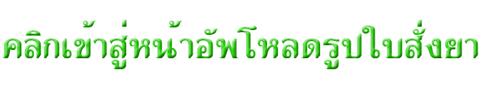 หน้าแรก